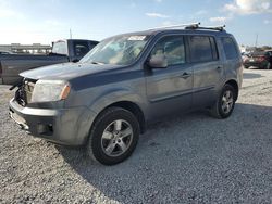 Salvage vehicles for parts for sale at auction: 2011 Honda Pilot EX