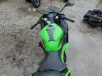 2024 Kawasaki EX500 H