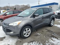 SUV salvage a la venta en subasta: 2013 Ford Escape SE