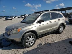 Salvage cars for sale at West Palm Beach, FL auction: 2007 Honda CR-V EX