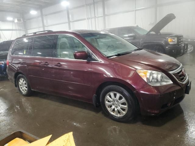 2010 Honda Odyssey EXL