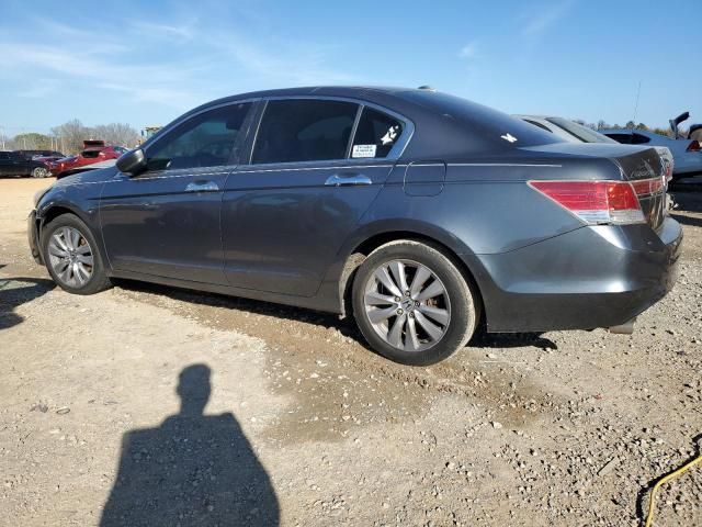 2011 Honda Accord EXL