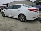 2013 KIA Optima Hybrid