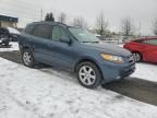 2007 Hyundai Santa FE SE