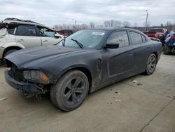 Salvage cars for sale from Copart Louisville, KY: 2014 Dodge Charger SE