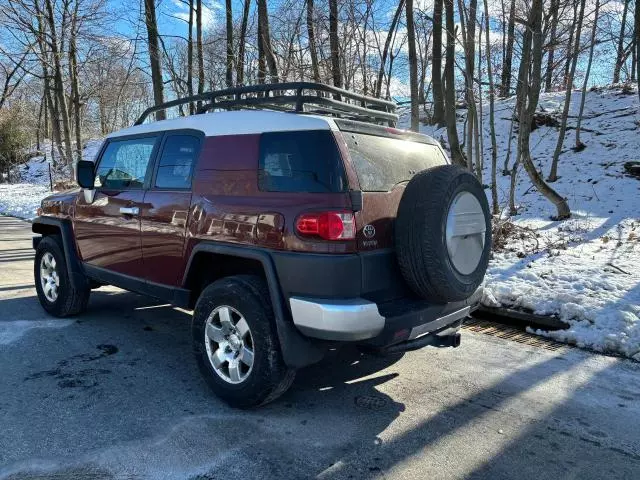 2010 Toyota FJ Cruiser