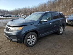 Salvage cars for sale at Marlboro, NY auction: 2011 KIA Sorento Base