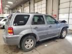 2007 Ford Escape XLT