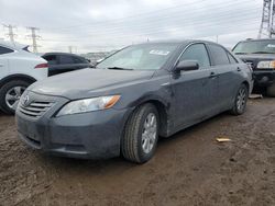 2007 Toyota Camry Hybrid en venta en Elgin, IL