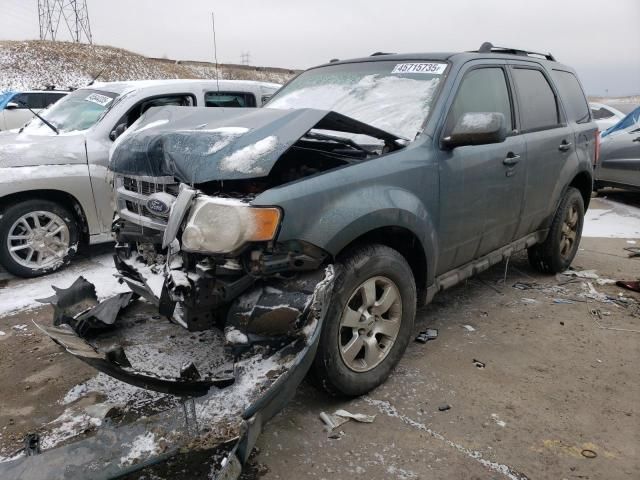 2010 Ford Escape Limited