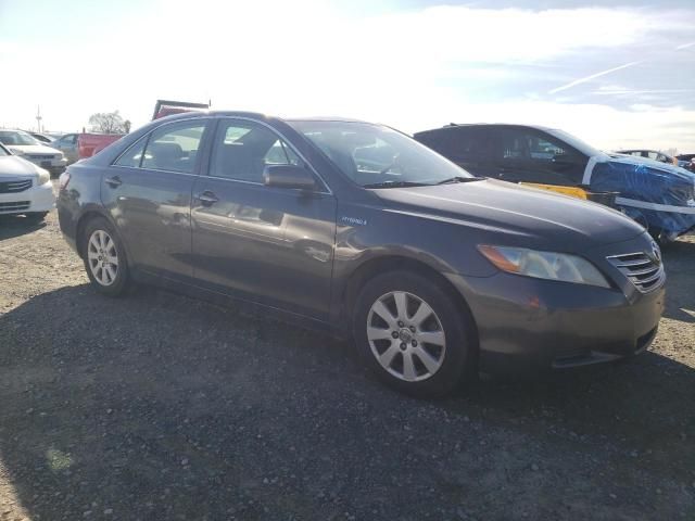 2009 Toyota Camry Hybrid