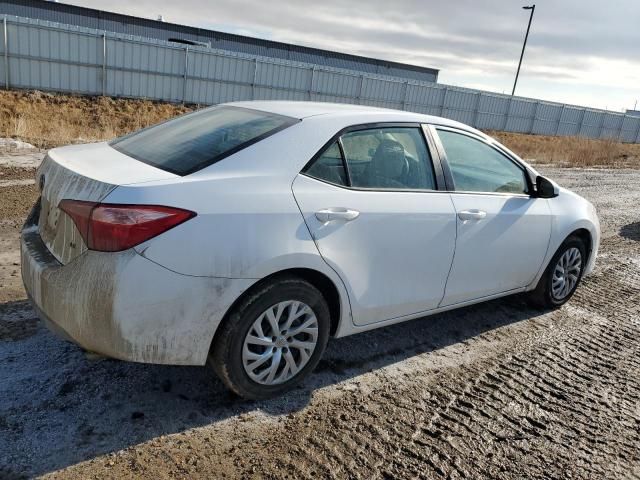 2019 Toyota Corolla L