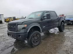 Salvage cars for sale from Copart Lumberton, NC: 2013 Ford F150 Supercrew