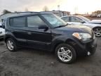 2010 KIA Soul +