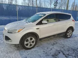 Carros salvage a la venta en subasta: 2016 Ford Escape SE