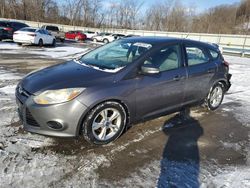 Salvage cars for sale at Ellwood City, PA auction: 2014 Ford Focus SE