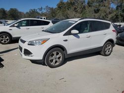 Vehiculos salvage en venta de Copart Ocala, FL: 2014 Ford Escape SE