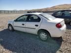 2004 Dodge Neon Base