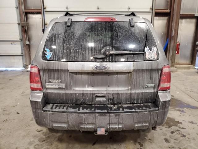 2011 Ford Escape Limited