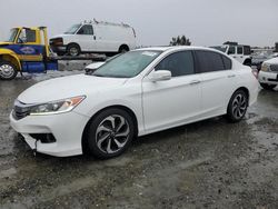 2016 Honda Accord EXL en venta en Antelope, CA