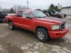 2008 Dodge Dakota SXT