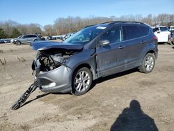 Ford Escape sel salvage cars for sale: 2013 Ford Escape SEL