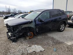 Salvage cars for sale at Lawrenceburg, KY auction: 2019 Toyota Rav4 XLE