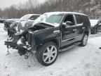 2008 Cadillac Escalade Luxury