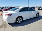 2010 Toyota Camry SE