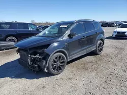 Salvage cars for sale at Lumberton, NC auction: 2017 Ford Escape SE