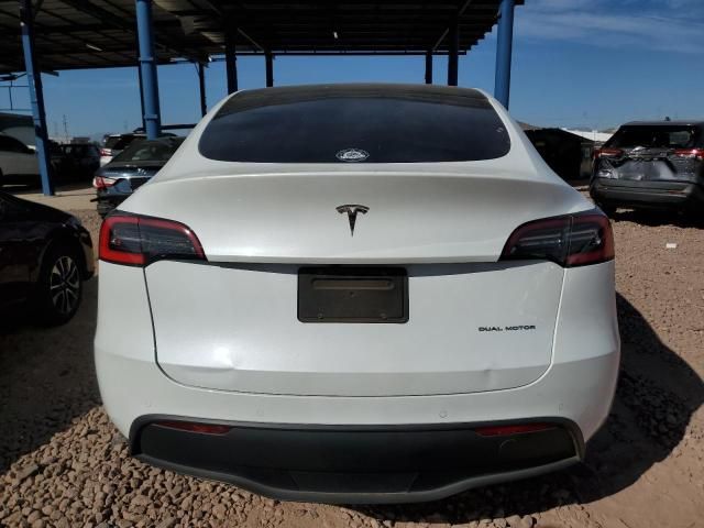 2020 Tesla Model Y