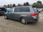 2010 Honda Odyssey EXL