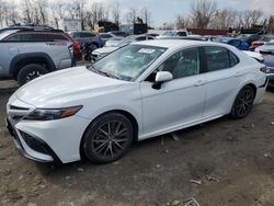 Salvage cars for sale at Baltimore, MD auction: 2022 Toyota Camry SE