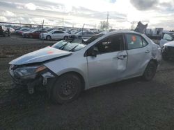 Salvage cars for sale at Eugene, OR auction: 2014 Toyota Corolla L