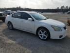 2008 Nissan Maxima SE