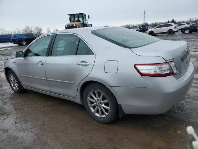 2010 Toyota Camry Hybrid