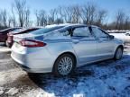 2016 Ford Fusion SE Hybrid