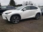 2020 Lexus NX 300H