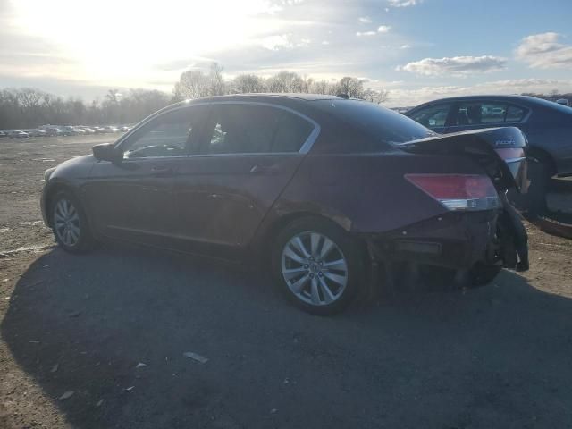 2011 Honda Accord EXL