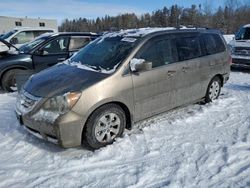 Salvage cars for sale at Cookstown, ON auction: 2008 Honda Odyssey EX