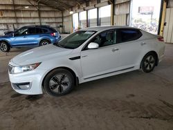 KIA Optima salvage cars for sale: 2013 KIA Optima Hybrid