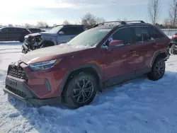 Toyota salvage cars for sale: 2023 Toyota Rav4 XLE