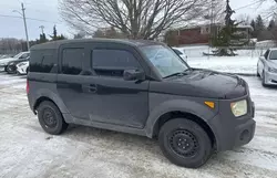 Salvage cars for sale at Bowmanville, ON auction: 2003 Honda Element EX