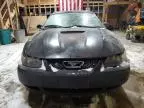 2000 Ford Mustang GT