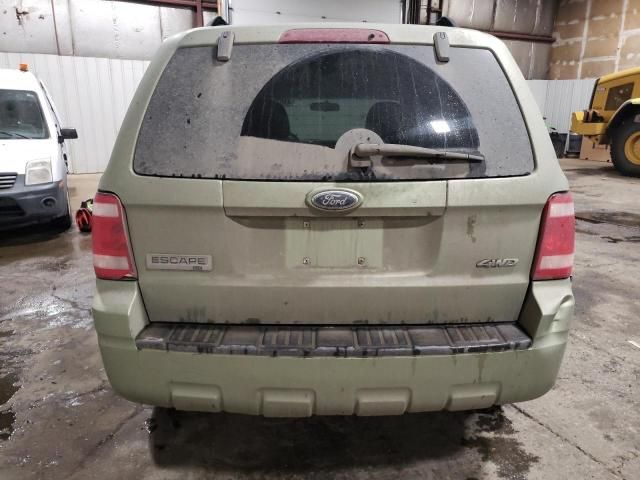 2008 Ford Escape XLT