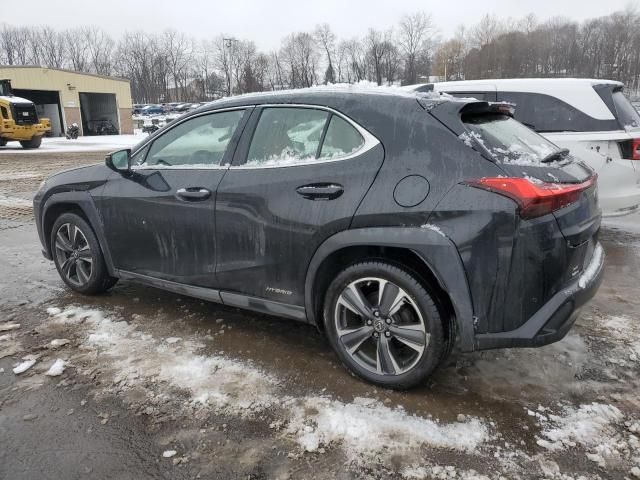 2019 Lexus UX 250H