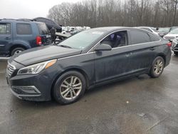 Salvage cars for sale at Glassboro, NJ auction: 2015 Hyundai Sonata SE