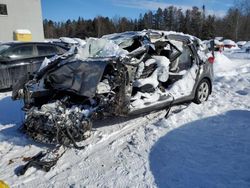 Salvage cars for sale at Cookstown, ON auction: 2014 KIA Rondo