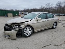 Salvage cars for sale at Ellwood City, PA auction: 2014 Honda Accord EXL