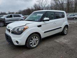 Salvage cars for sale at Ellwood City, PA auction: 2013 KIA Soul +